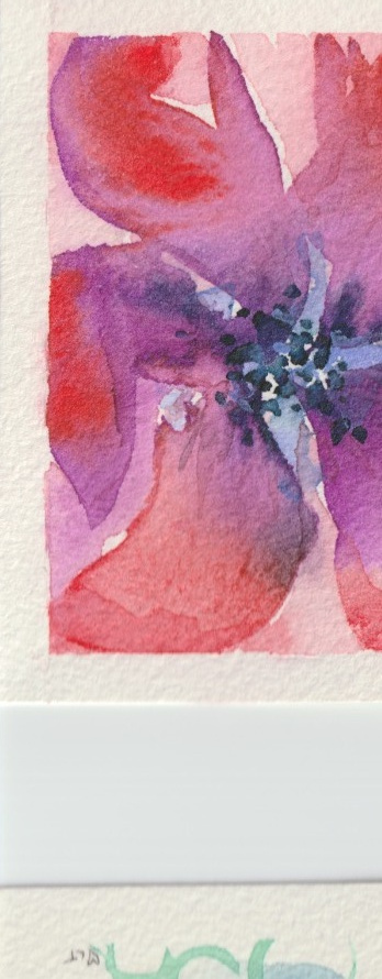 Original flower watercolor